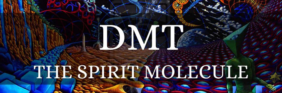 DMT the spirit molecule